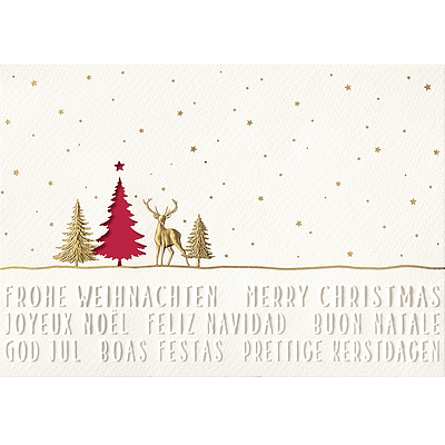Weihnachtskarten mit Couvert